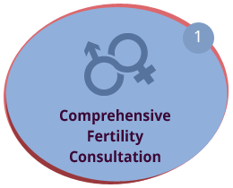 Comprehensive Fertility Consultation