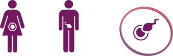 Donor eggs and donor sperm